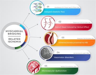 Comprehensive functional and anatomic assessment of myocardial bridging: Unlocking the Gordian Knot